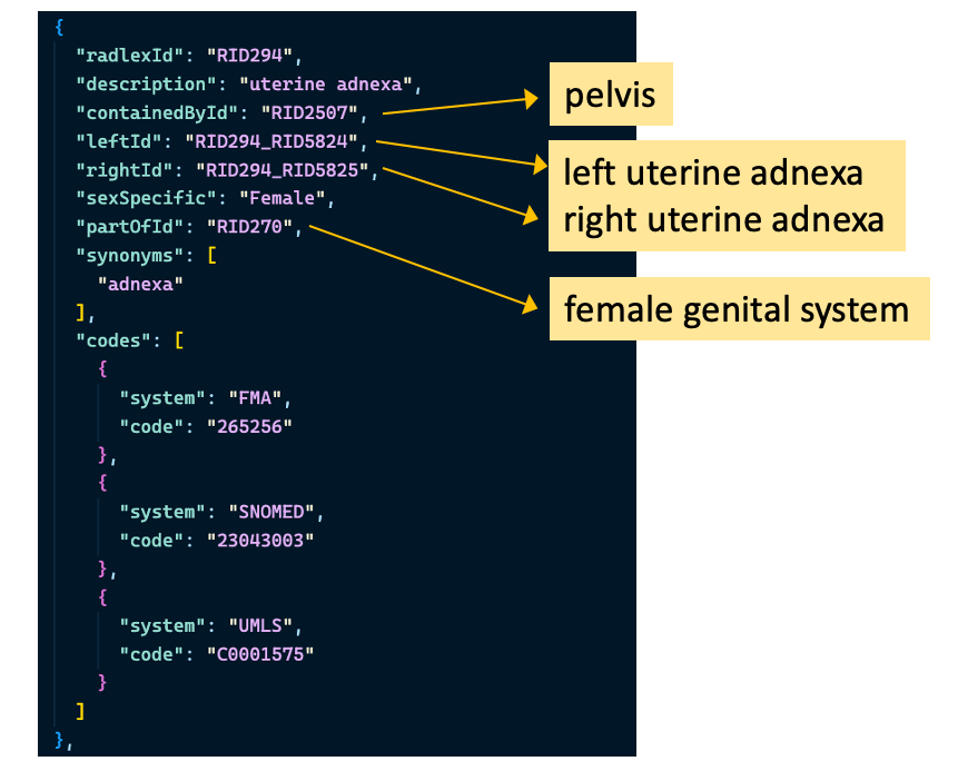 Body parts data file JSON structure